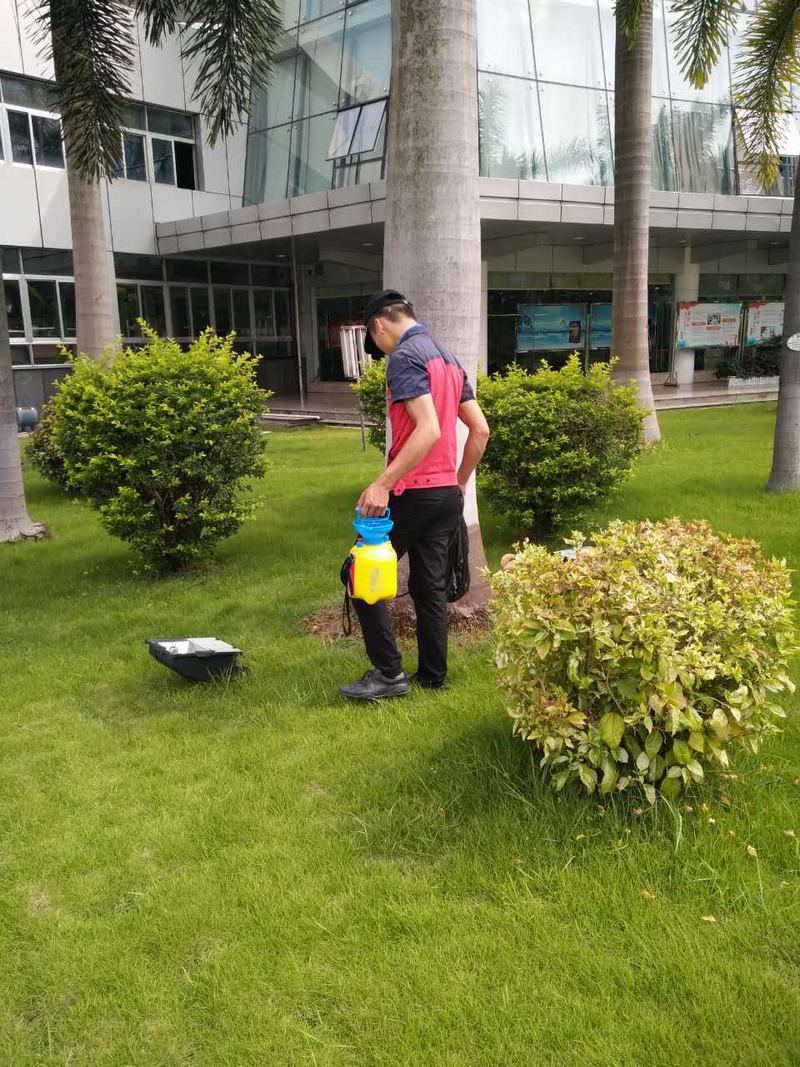娛樂場所滅鼠